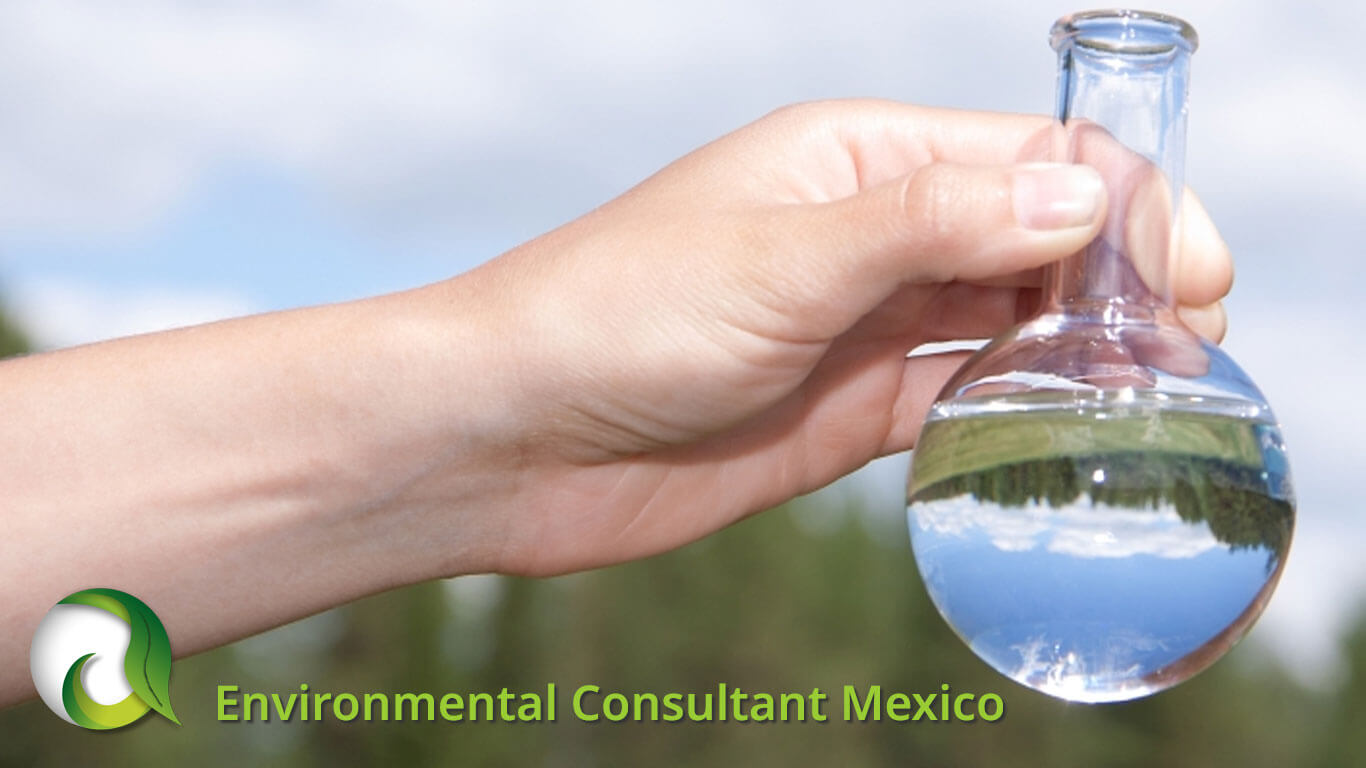 Environmental Consultant Mexico