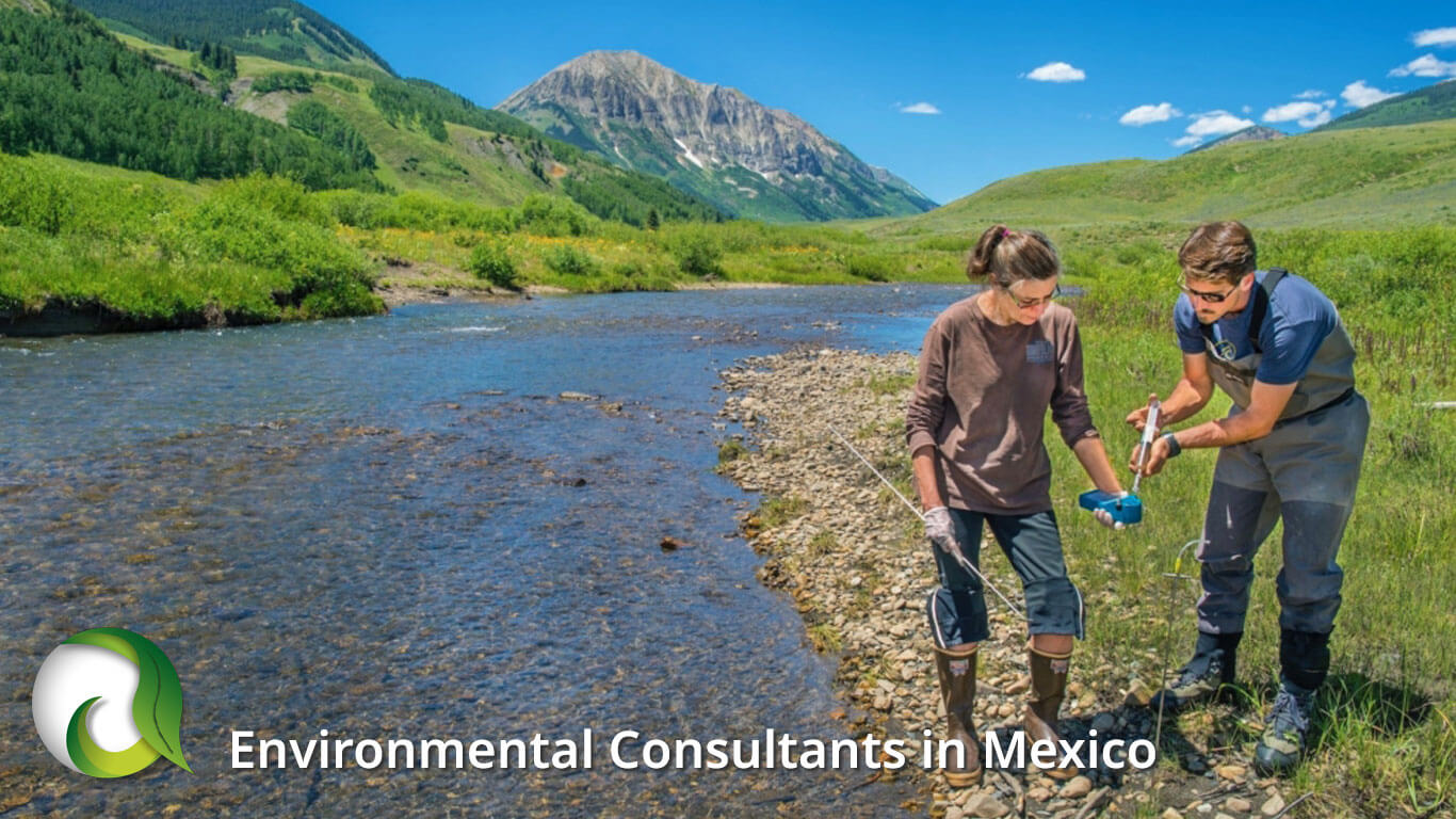 Environmental Consultants in Mexico