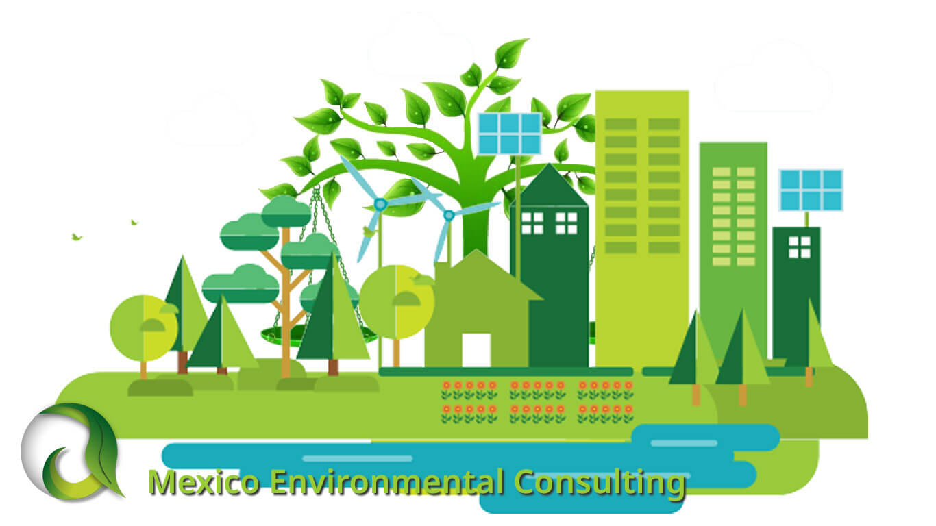 Mexico Environmental Consulting