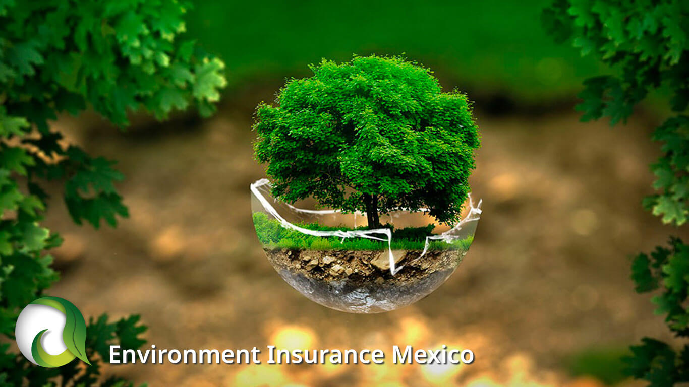 Environmental Insurance Mexico