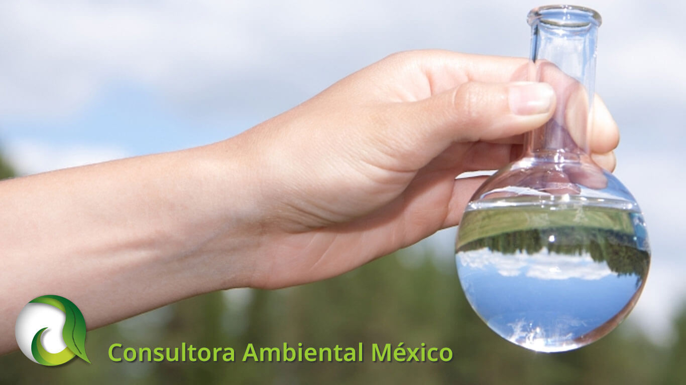 Consultora Ambiental Mexico