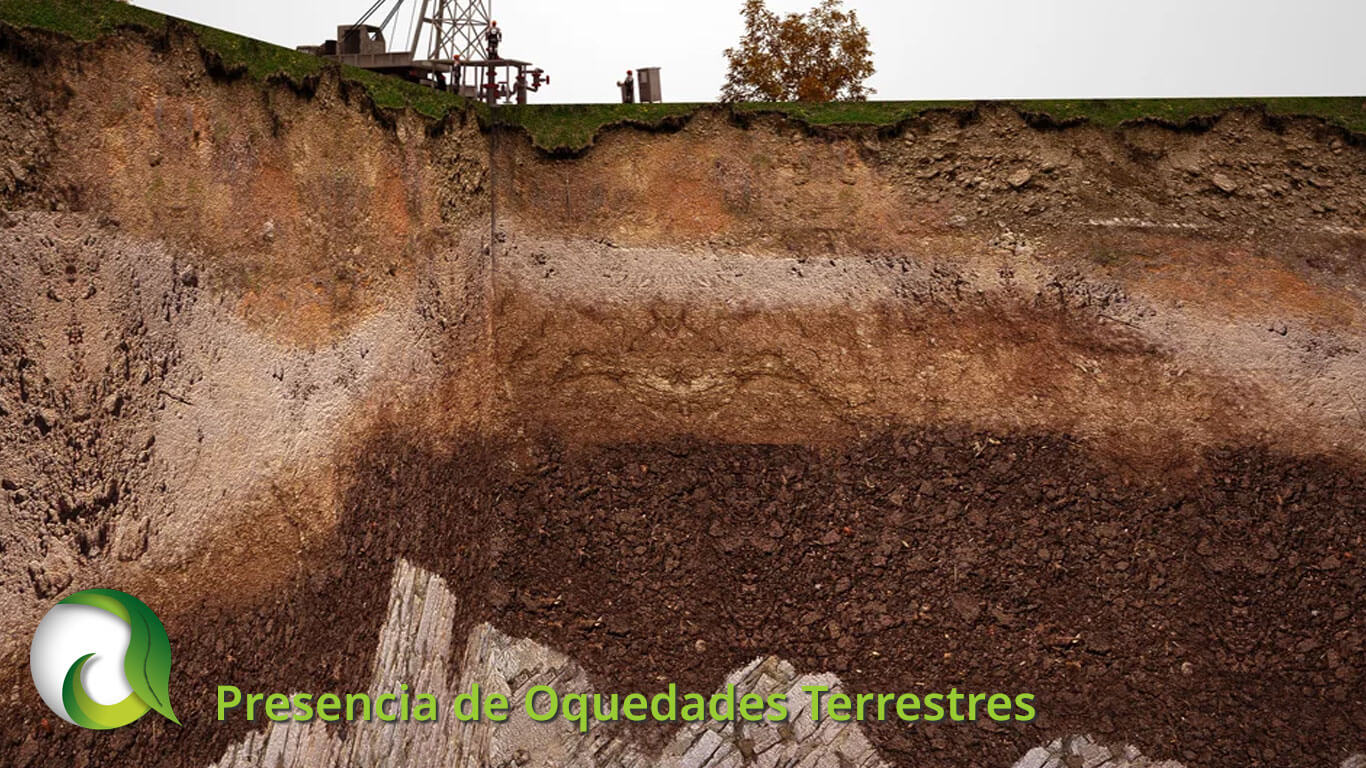 Presencia de Oquedades Terrestres