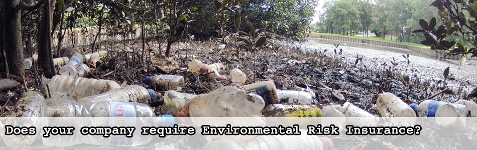 Environmental Risk Insurance 1