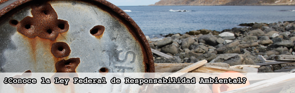 Ley Federal Responsabilidad Ambiental 2