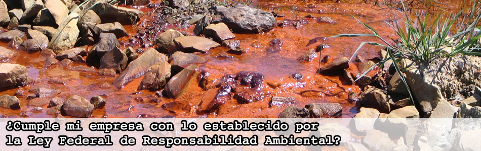Ley Federal Responsabilidad Ambiental 3