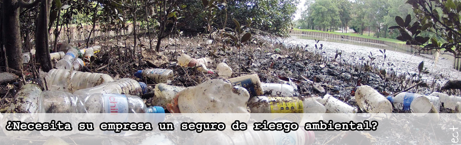 Seguro Riesgo Ambiental 5