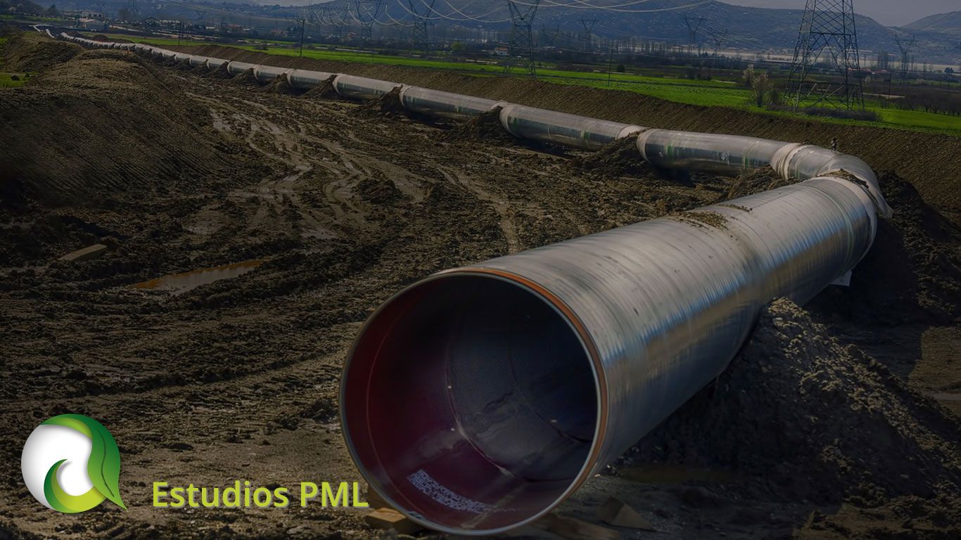 Estudios PML